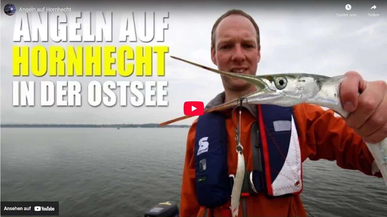 Angeln auf Hornhecht