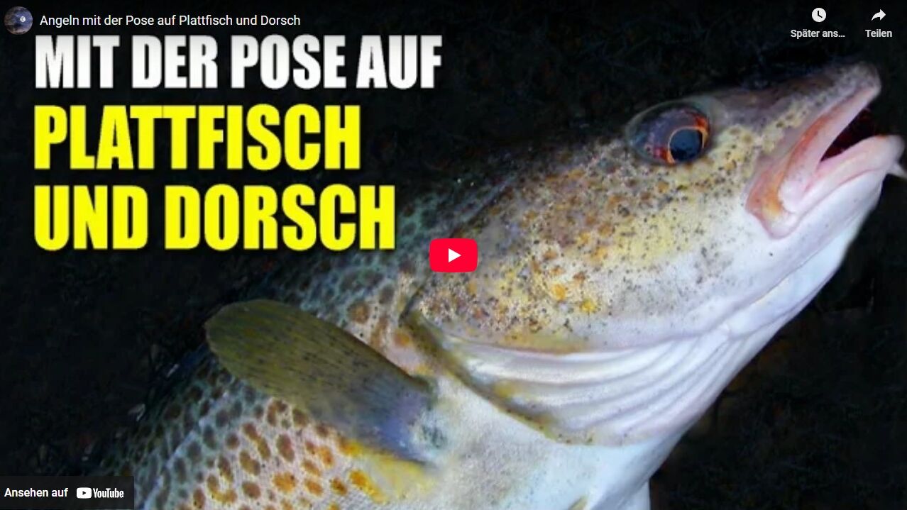 Angeln mit der Pose auf Plattfisch und Dorsch