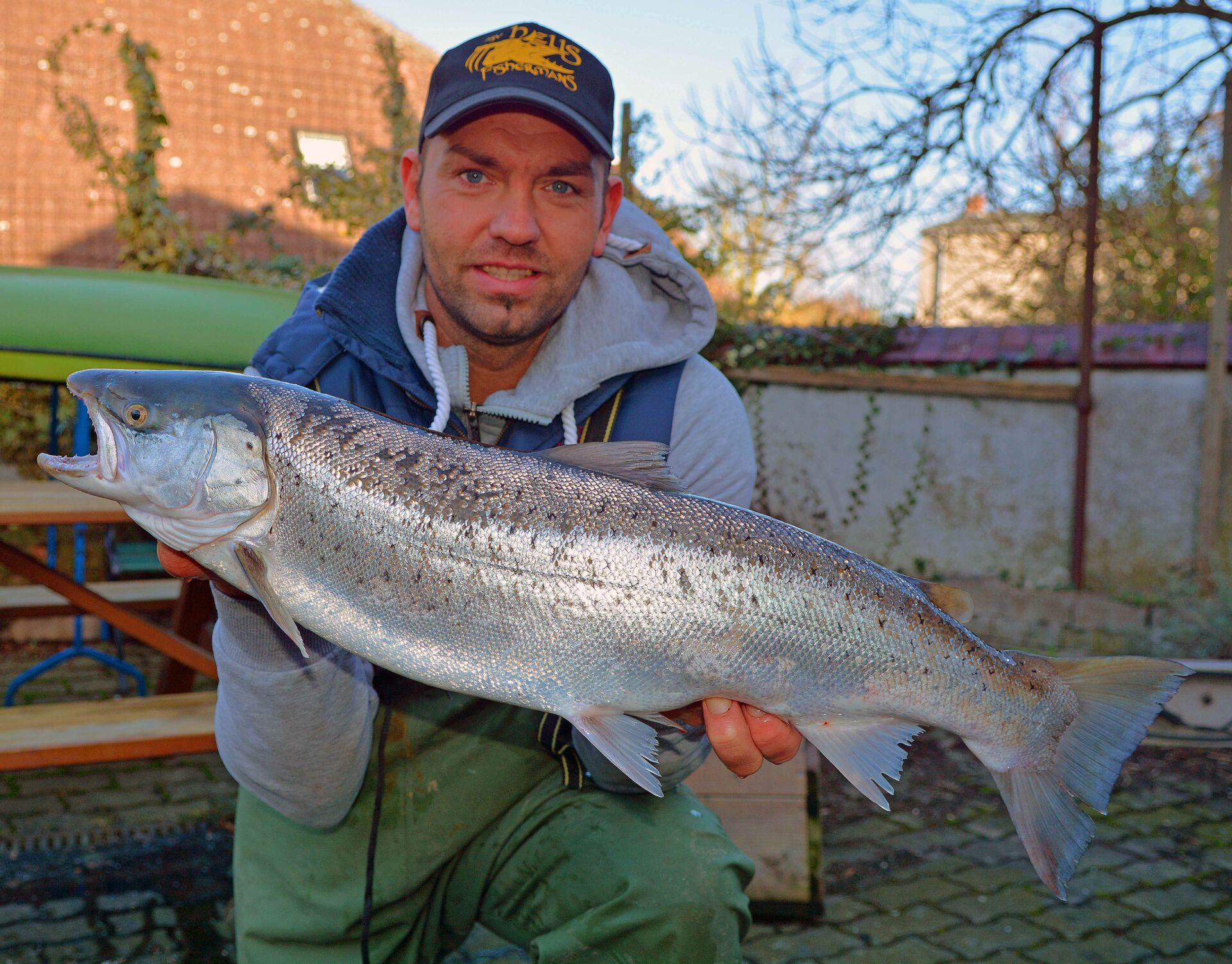 Meerforelle 73cm, 3,6kg