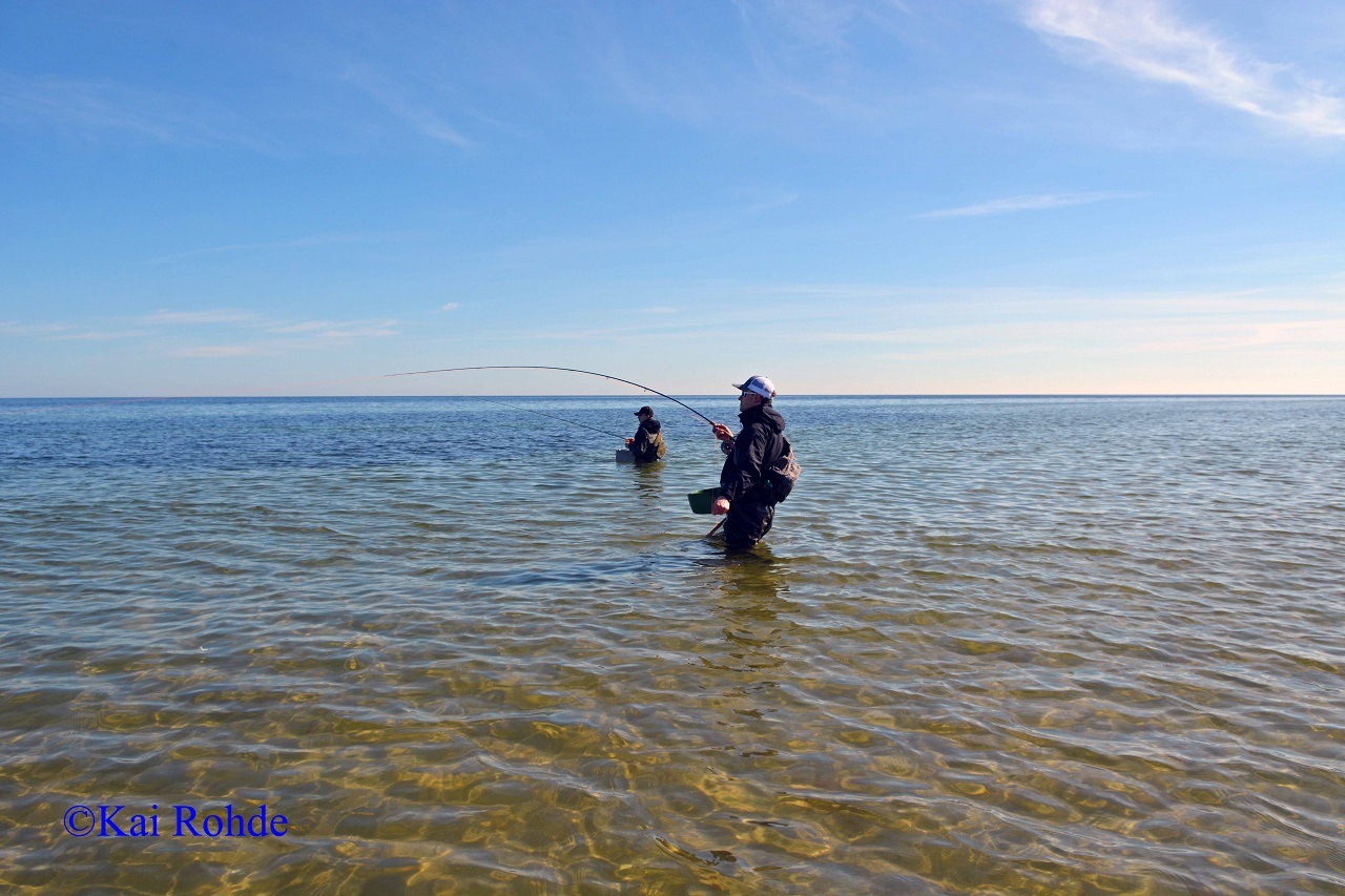 Ostsee Fliegenfischen 2018