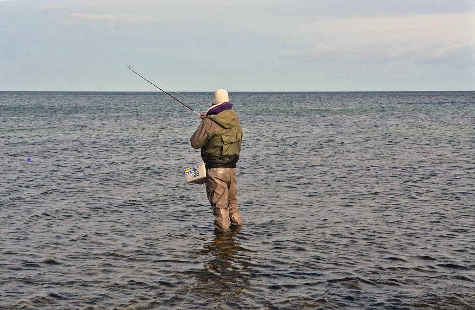 Fliegenfischen in der Ostsee – Warum immer nur auf Meerforelle?